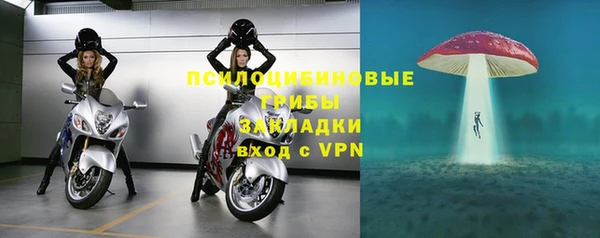 винт Армянск