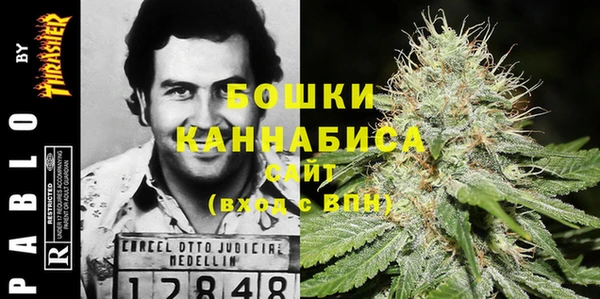 прущий лед Арсеньев