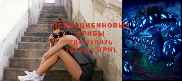 винт Армянск
